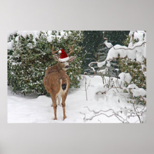 Poster Cervos do Natal