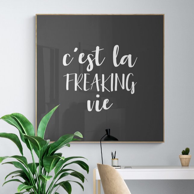 Poster C'est La Freaking Vie Engraçada citação francesa (Criador carregado)