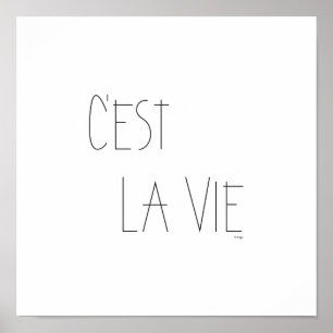 Poster C'est La Vie - Essa é a vida - Francês