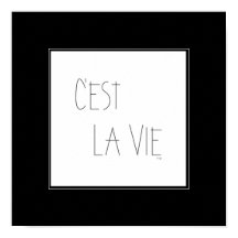 C'est La Vie - Essa é a vida - Francês