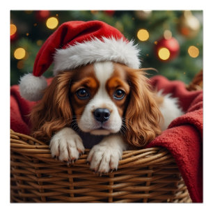 Pôster Cesta Aconchegante do Cavalier King Charles Spanie