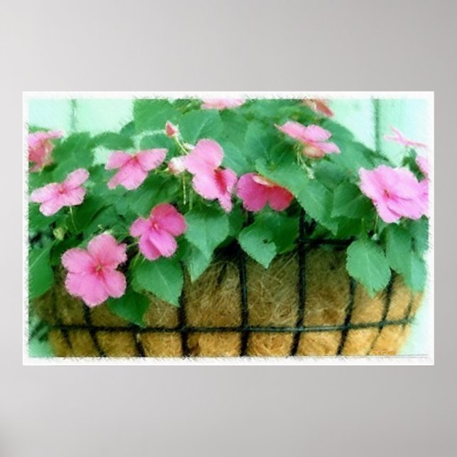 Poster Cesta de Impatiens (Frente)