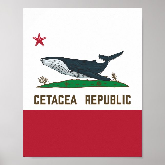 Poster Cetacea República Baleia Bandeira Rorqual (Frente)