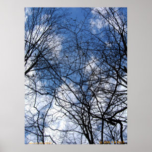 POSTER CÉU DE BORRÃO.