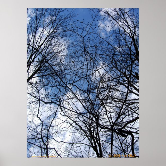 POSTER CÉU DE BORRÃO. (Frente)