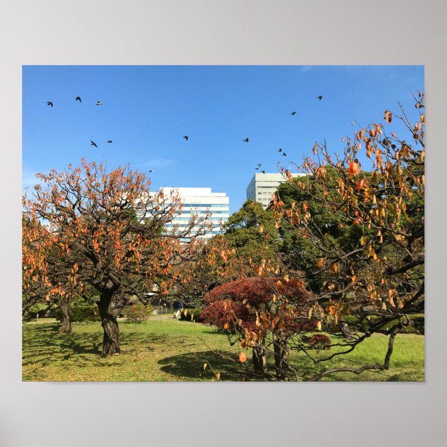 Poster Céu de outono nostálgico (Frente)