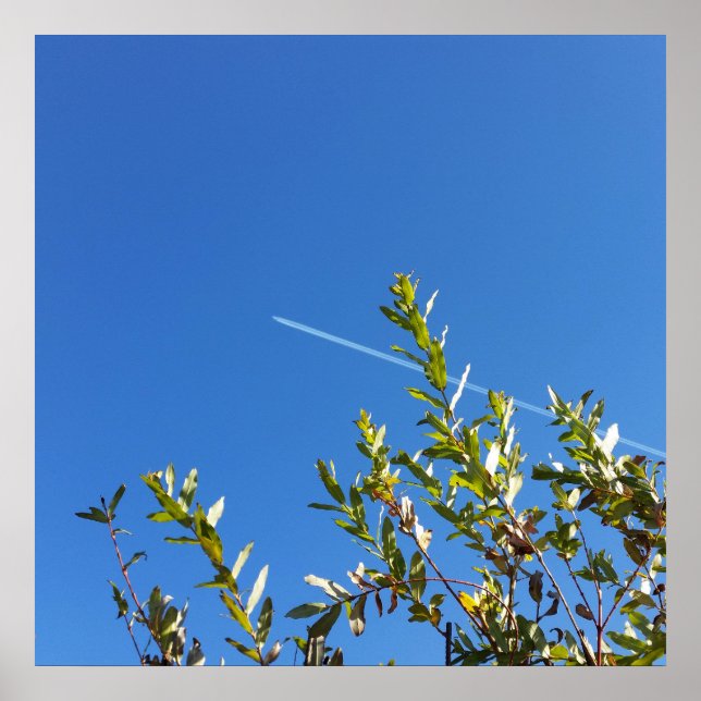 Pôster céu limpo (Frente)