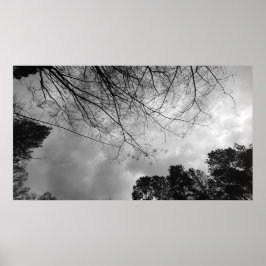 Poster Céu Nublado,