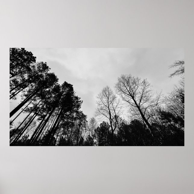 Poster Céu Nublado, (Frente)