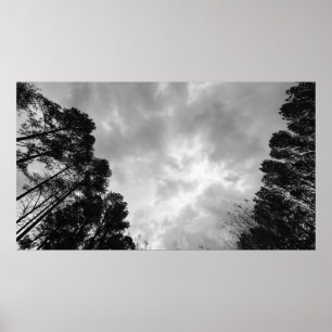 Poster Céu Nublado,