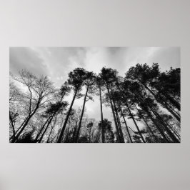 Poster Céu Nublado,