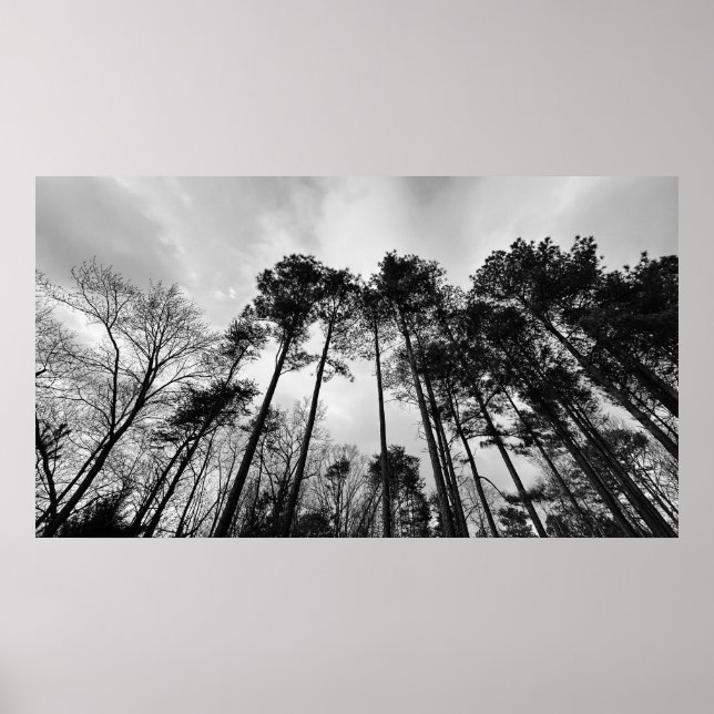 Poster Céu Nublado, (Frente)