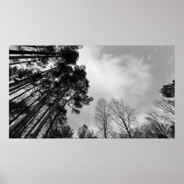 Poster Céu Nublado,