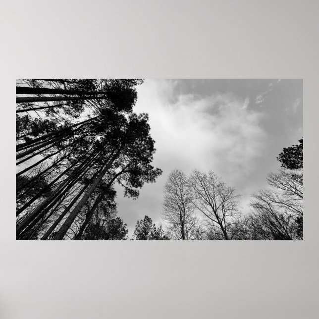 Poster Céu Nublado, (Frente)