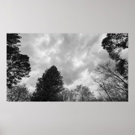 Poster Céu Nublado,