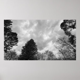 Poster Céu Nublado,