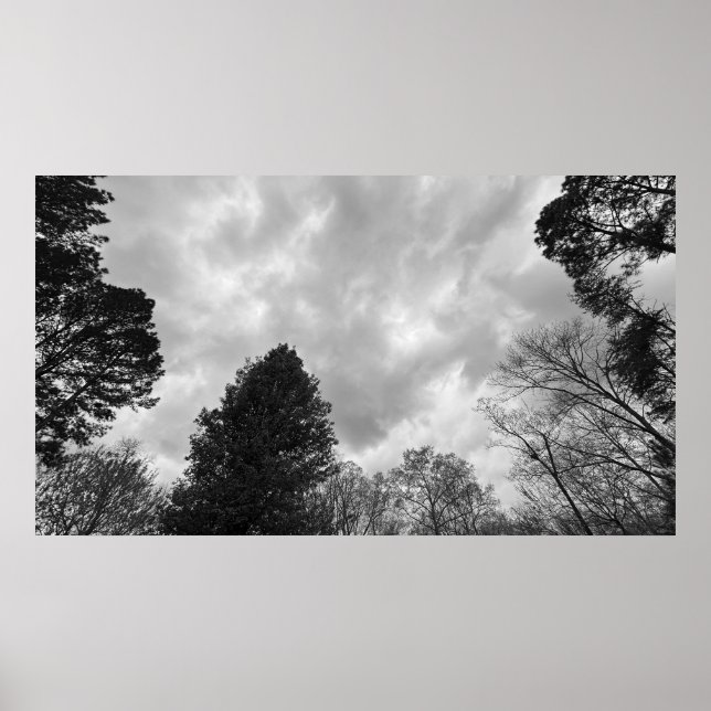 Poster Céu Nublado, (Frente)