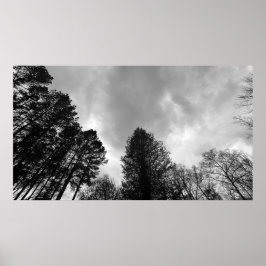 Poster Céu Nublado,