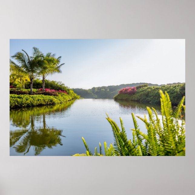 Poster Céu Refletido Em Lago Tropical (Frente)
