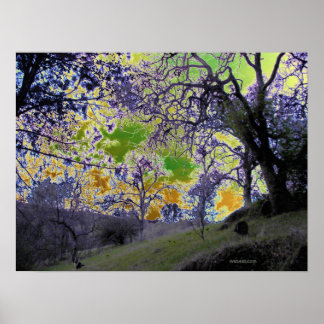 Poster céu verde e amarelo psíquico