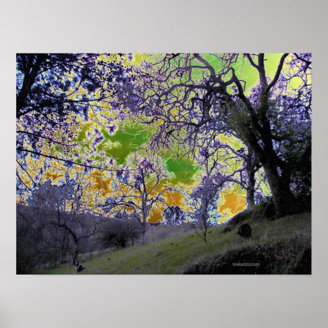 Poster céu verde e amarelo psíquico (Frente)