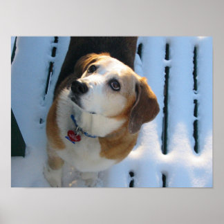 Poster Céu Vinculado