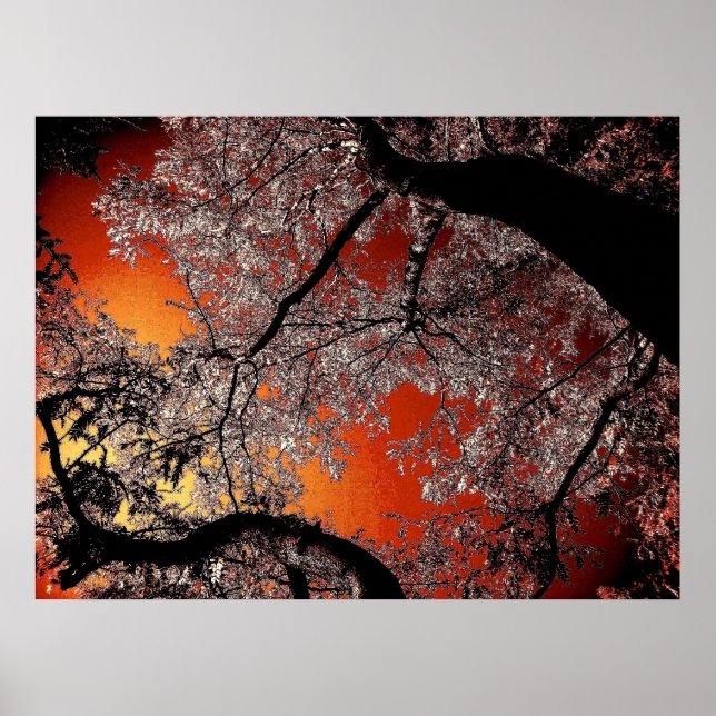 Pôster Céus asiáticos (Frente)