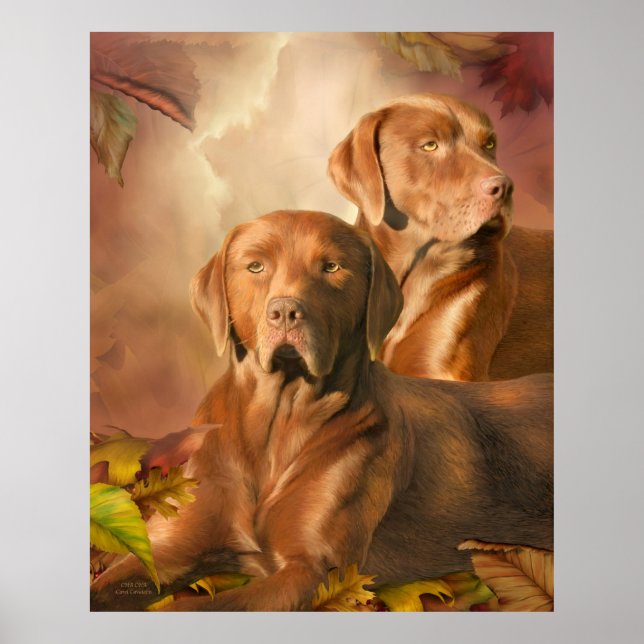 Poster Cha Cha - The Chocolate Lab Art Poster/Print (Frente)