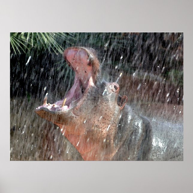 Poster Chá de boas-vindas Hippopotamus Portrait (Frente)