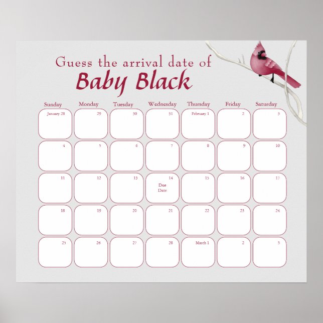 Poster Chá de fraldas De Aves Cardinais Da cinza Adivinha (Frente)