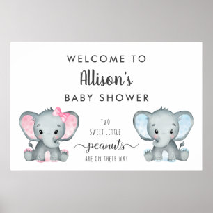 Poster Chá de fraldas de Elefante Twin Boy Welcome