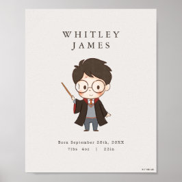 Poster Chá de fraldas Harry Potter simples