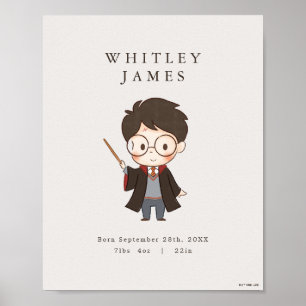 Poster Chá de fraldas Harry Potter simples