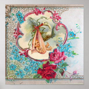 PÔSTER CHÁ DE GAROTA DO STORK BABY