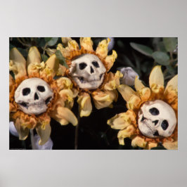 Poster Chá Sanguíneo e Corda Vermelha Caveira Girassol