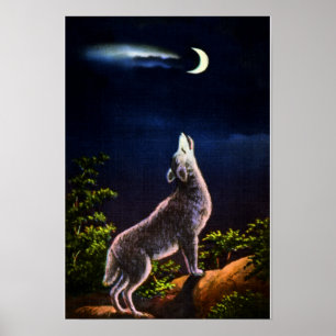 Pôster Chacal que urra na lua