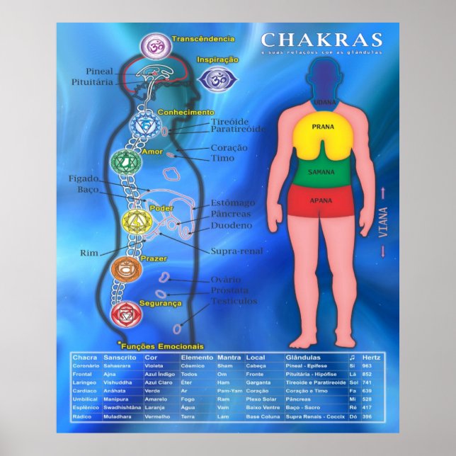 Poster Chakras e suas Relações (Frente)