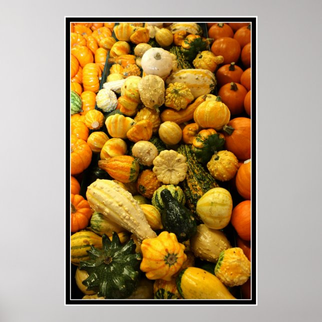 Poster Chall Gourds (Frente)