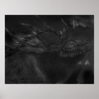 Poster chamada à noite