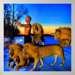 Pôster Chamada de Wild