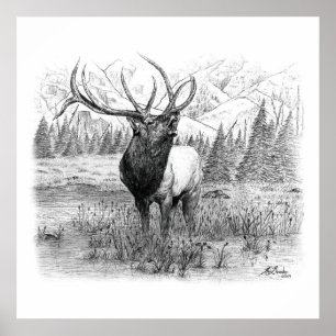 Pôster Chamada do Rei