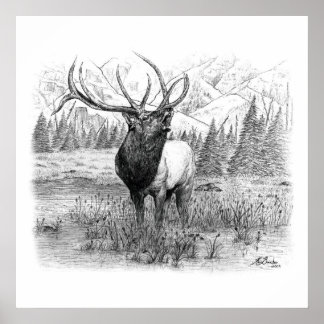 Pôster Chamada do Rei