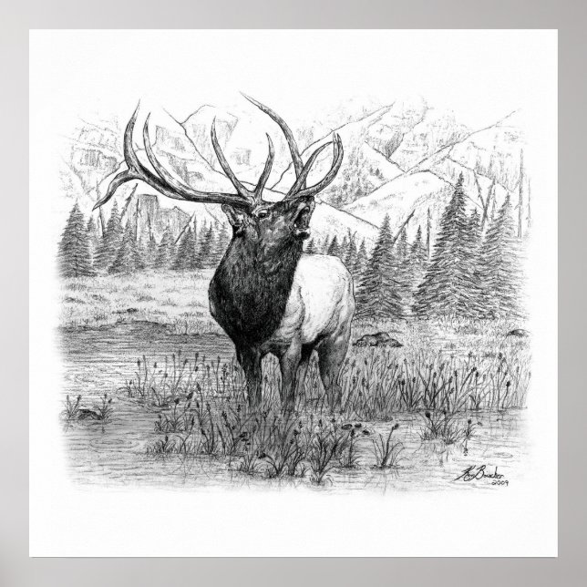 Pôster Chamada do Rei (Frente)