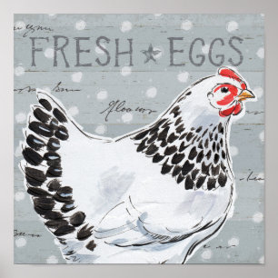 Pôster Chamada II dos galos