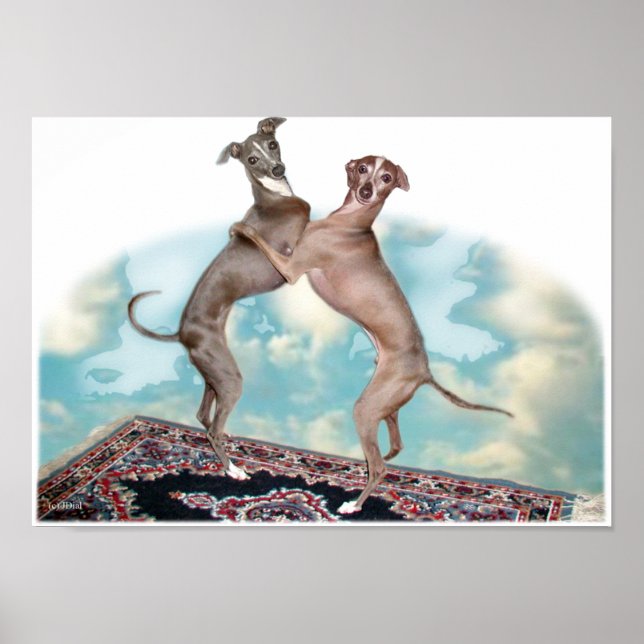 Poster Chamadas Frequentes (Frente)