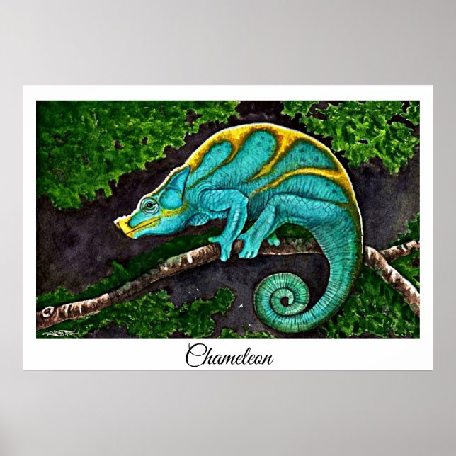 Poster Chameleon Life (Frente)