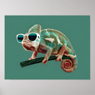 Poster Chameleon Vestindo óculos de sol em fundo sólido
