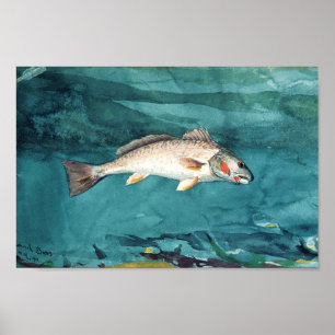 Poster Channel Bass American Painting de Homer