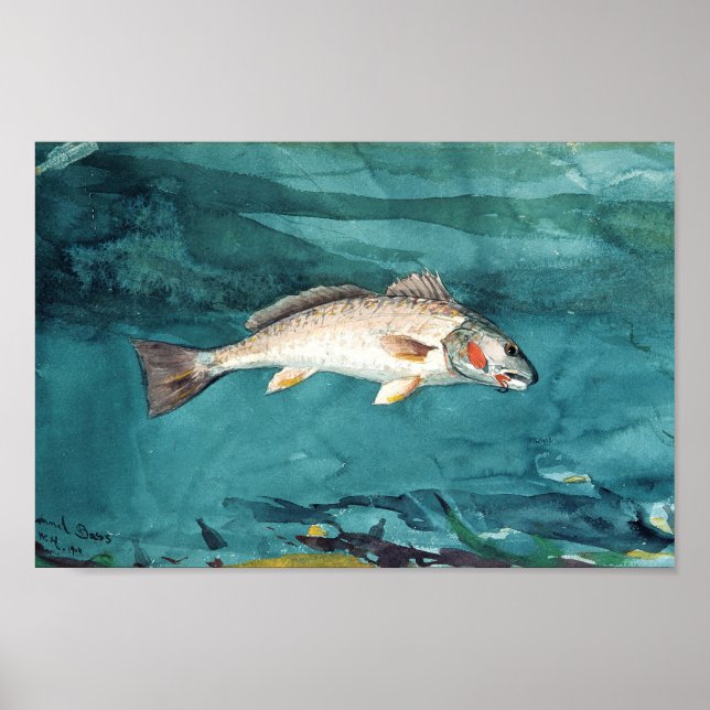 Poster Channel Bass American Painting de Homer (Frente)