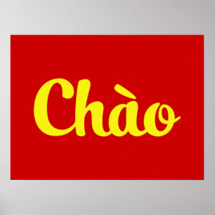 Pôster Chào/olá! ~ Vietnam/vietnamita/Tiếng Việt